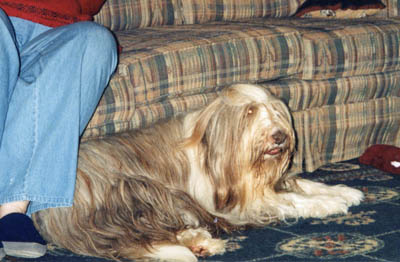 Meggie lying on the floor in front of the family room sofa at 13 years old.